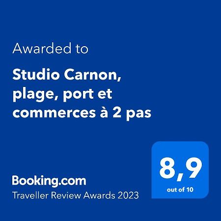 Studio Carnon, Plage, Port Et Commerces A 2 Pas Экстерьер фото
